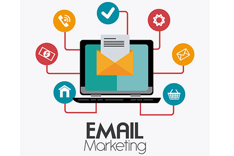 Email Marketing: The 42x ROI Channel for Kerala Businesses